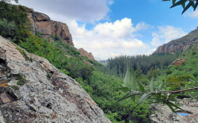 Meiringskloof