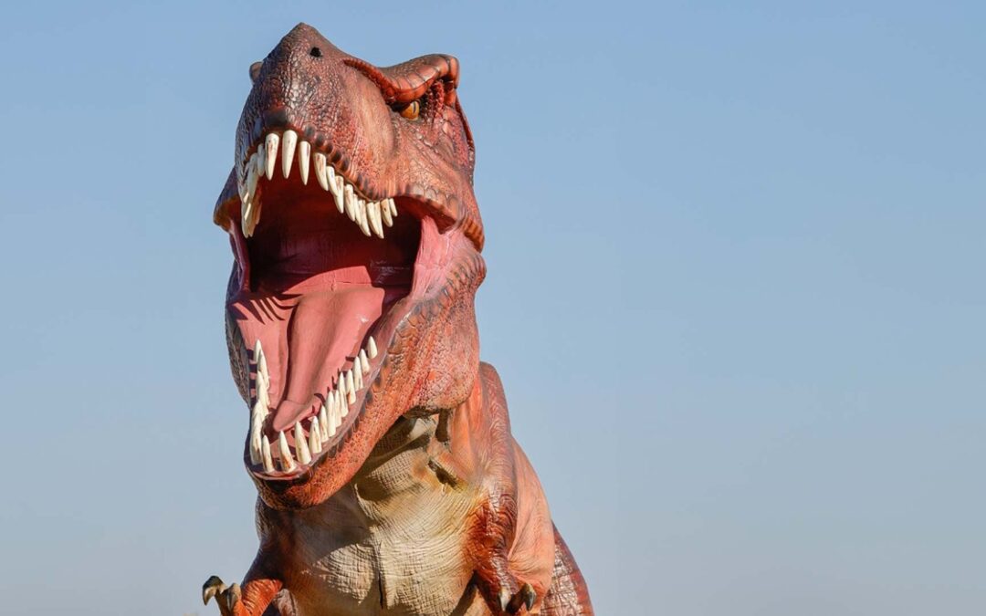 Dinosaur Tours